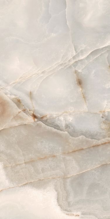 Reves Noisette Matte 24 x 48